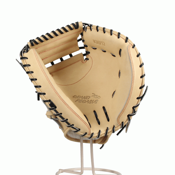 野球 ワールドペガサス 湯もみ型付け済み 硬式 軟式 キャッチャー