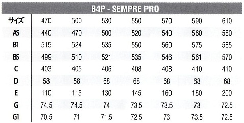 BIANCHI SEMPRE PRO FRAMESET(ビアンキ センプレ プロ フレームセット