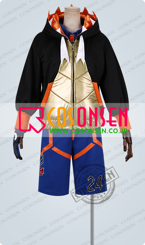 ポケットモンスターソード・シールド ポケモン剣盾 ジムリーダー