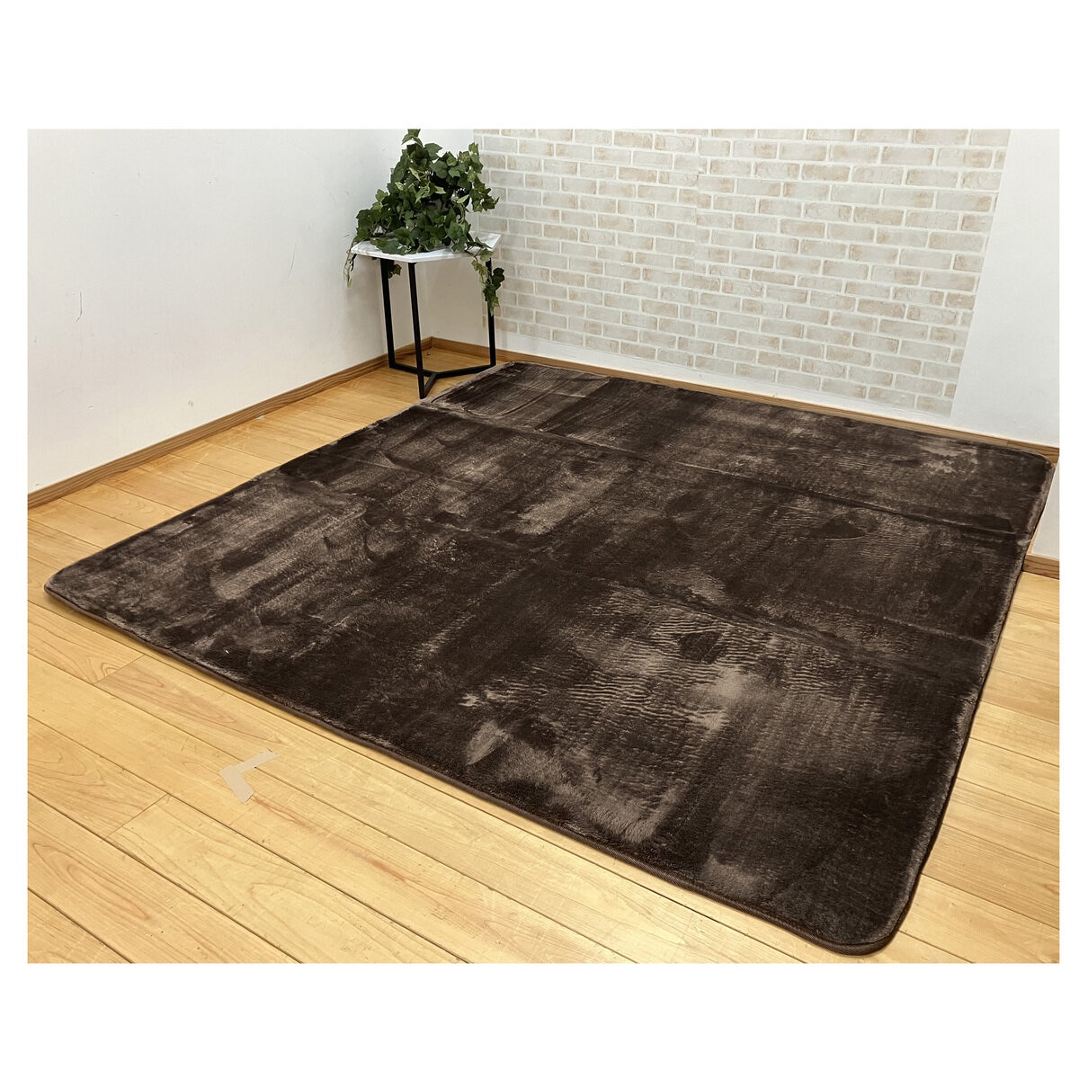 昭和西川 極厚フランネルラグ 180 x 180cm | Costco Japan