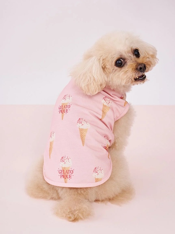 Tシャツ・タンクトップ | 犬服・ドックウェアCalulu(カルル)