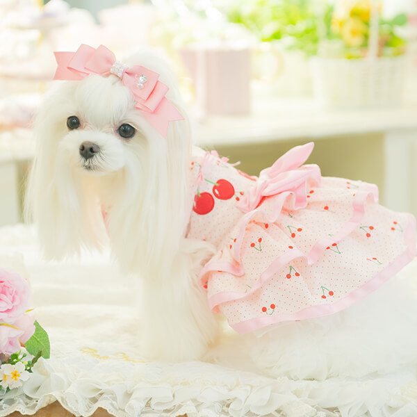 ペットサロン専用業務用アクセサリーの通販ショップ『きゃんナナ』– 卸