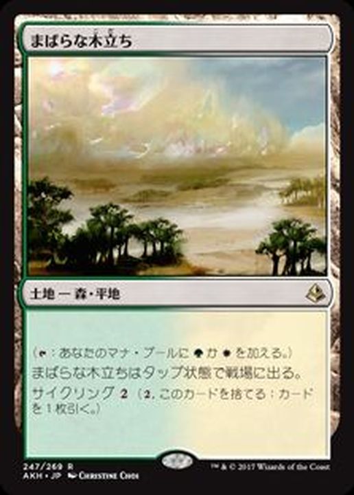断捨離 MTG 日本語＆英語 種類もグチャ混ぜ 断捨離 MTG 日本語＆英語