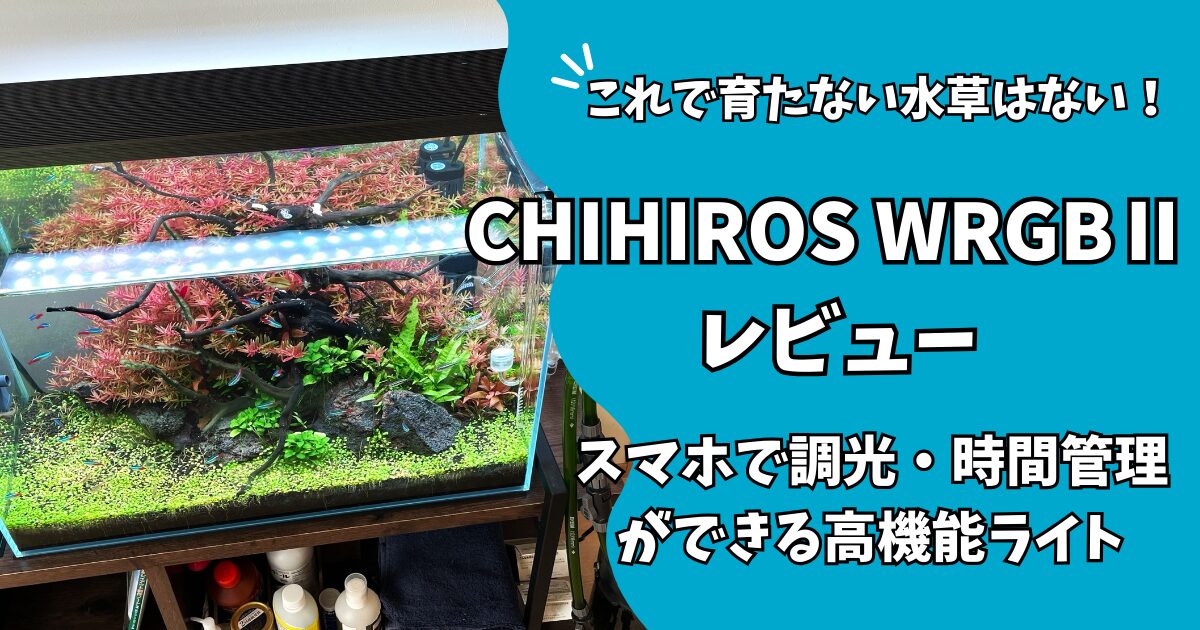 Chihiros WRGBⅡ60を徹底レビュー】水草育成に悩むならこれで決まり