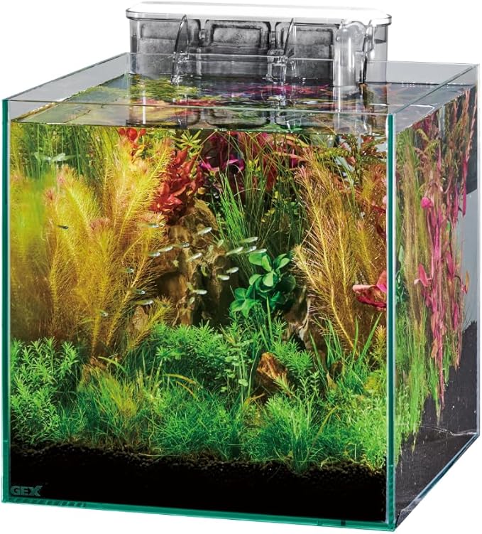 morizoADA ガラス水槽 30㎝キューブ セット morizoADA ガラス水槽 30