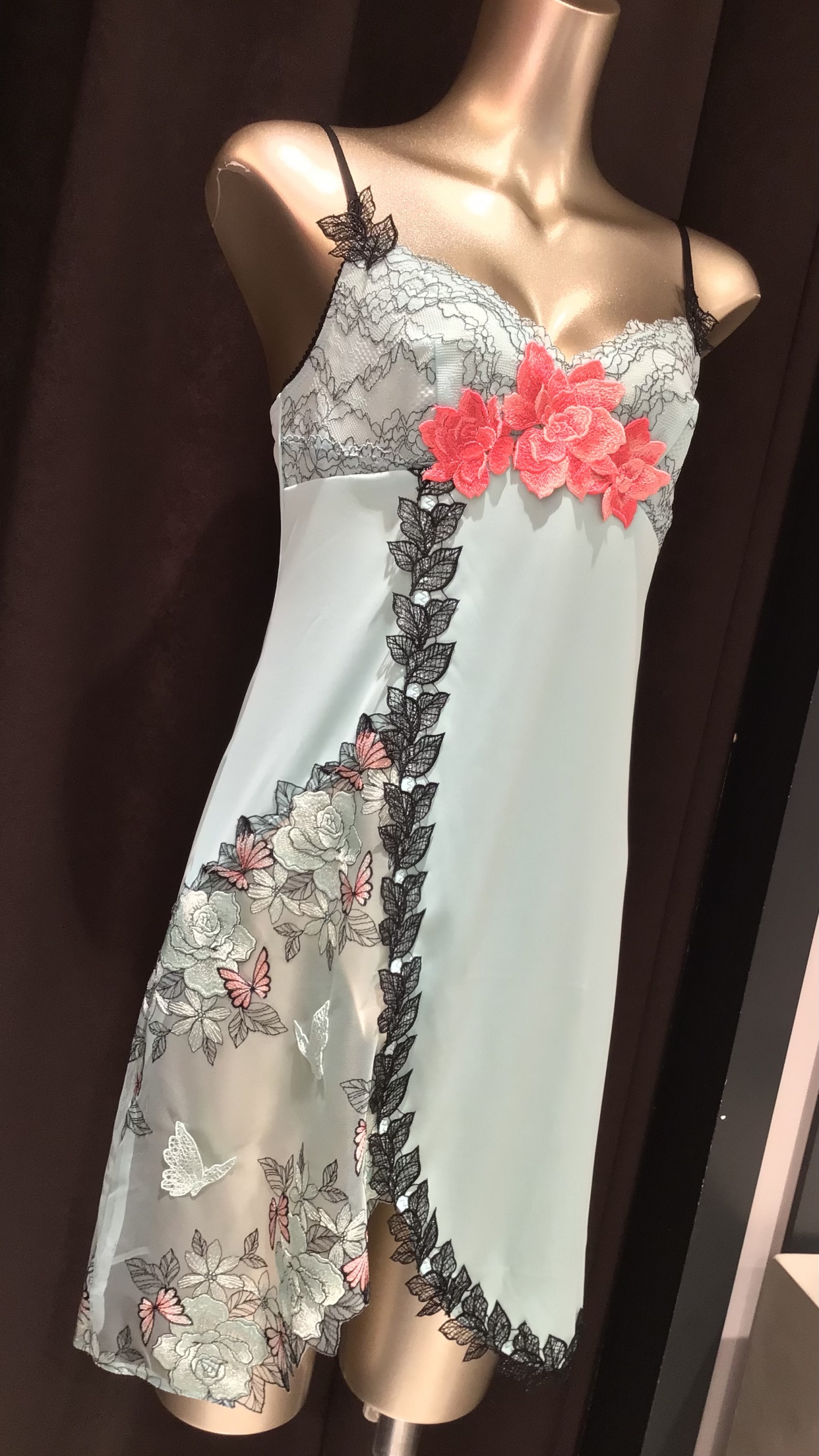 本日のご紹介ランジェリー˚✧₊⁎❝᷀ົཽ〜サルート83グループ