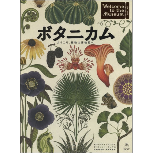 ボタニカム ようこそ、植物の博物館へ／キャシー・ウィリス ケイティ