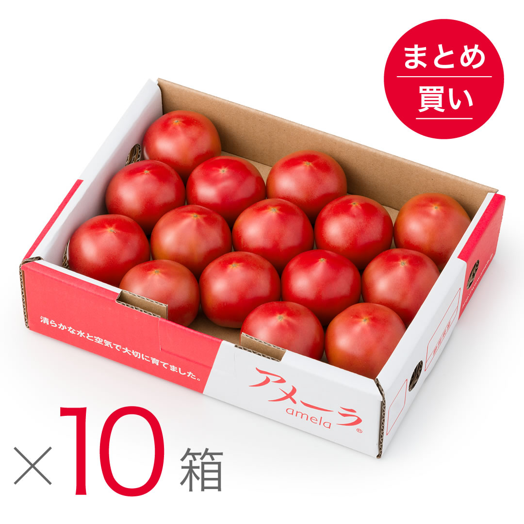 まとめ買い | アメーラトマト【公式オンラインショップ】