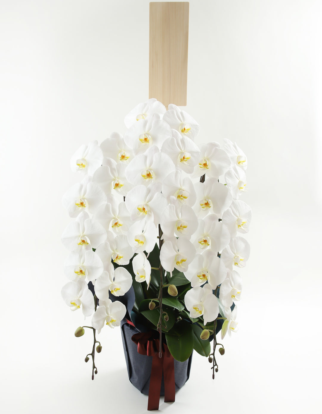 94000d50e6dae8a181294b541b1a0b