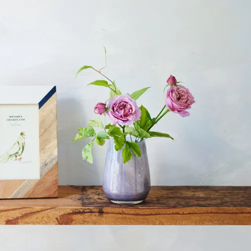 Henry Dean(ヘンリーディーン)/Pudding ネベロング | 青山フラワー