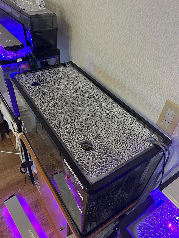 外部フィルターと上部フィルターダブル使い時の蓋、60cm底面フィルター