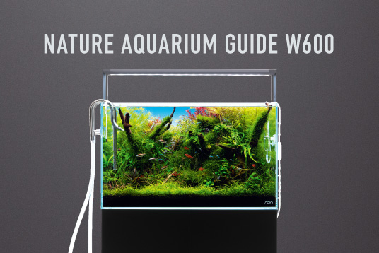 ソーラー RGB II 新発売のお知らせ | ADA - NEWS RELEASE