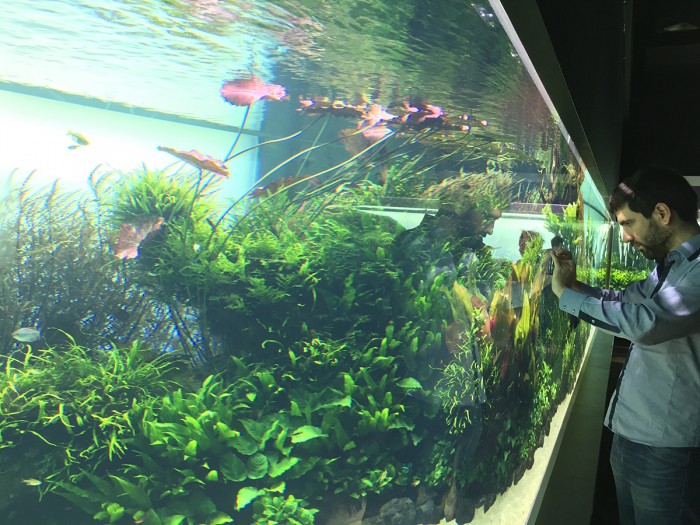 念願の地を訪れて | ADA STAFF BLOG