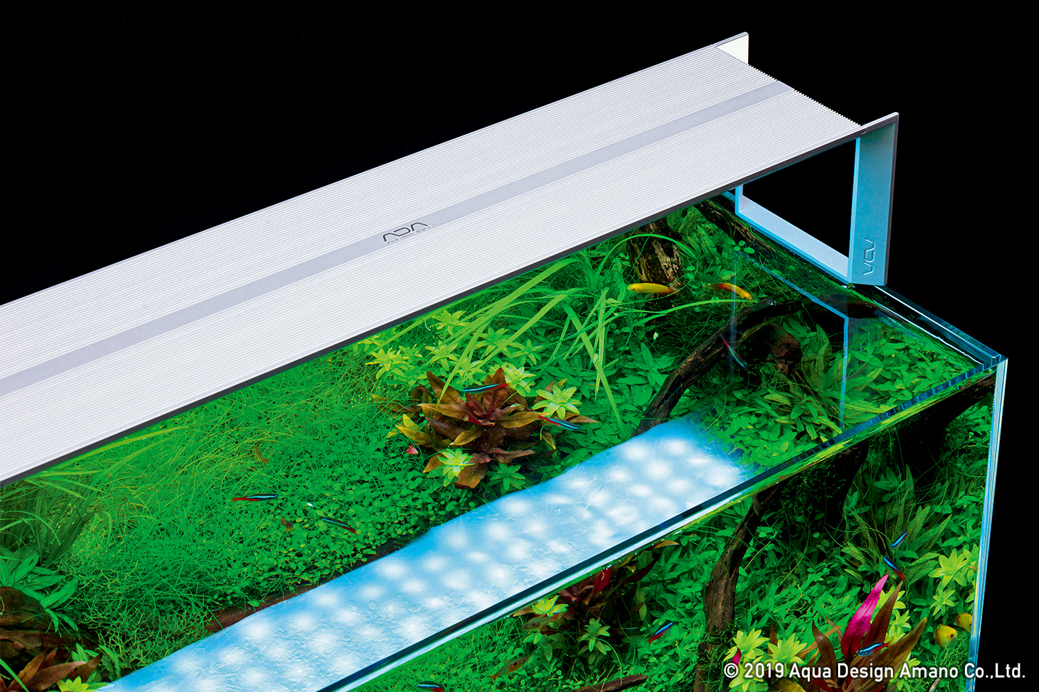 ADA アクアスカイ601‼️ サッシ】ADAアクアスカイ601 と60センチ水槽