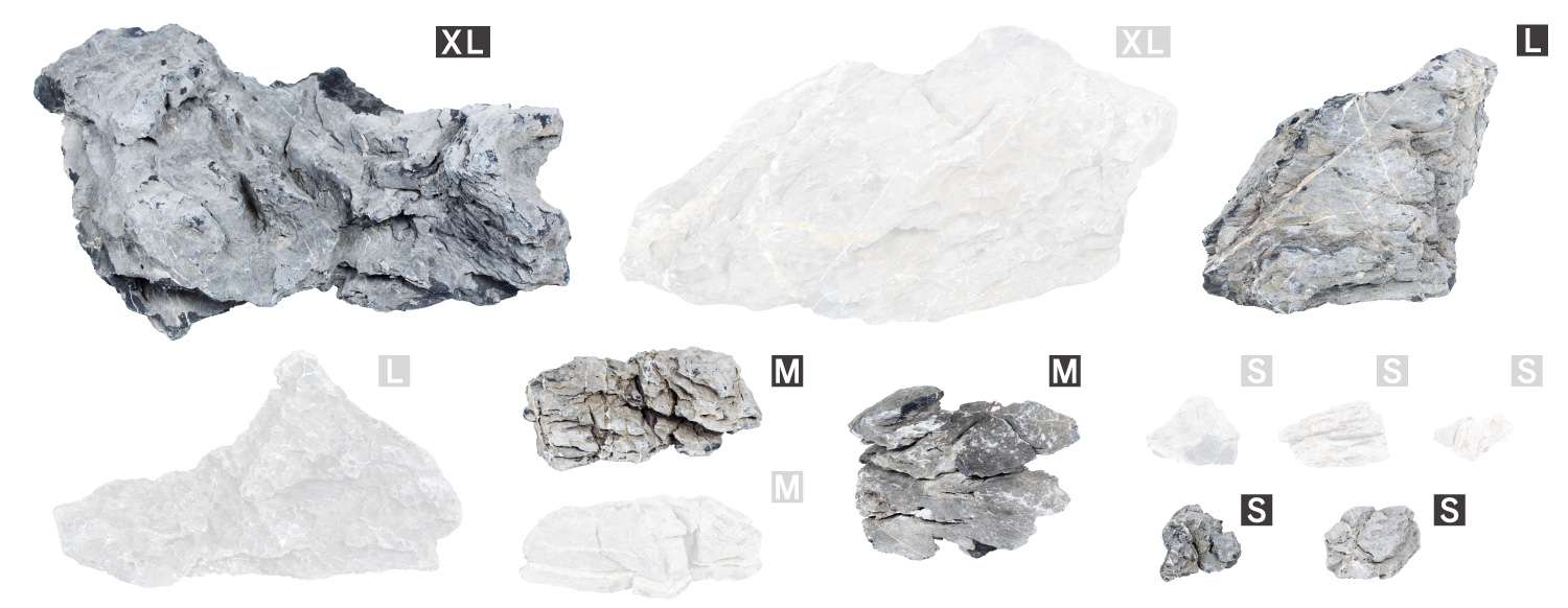 ADA Review 「水景クリエイターへの挑戦状 〜龍王石編〜」 | AQUA