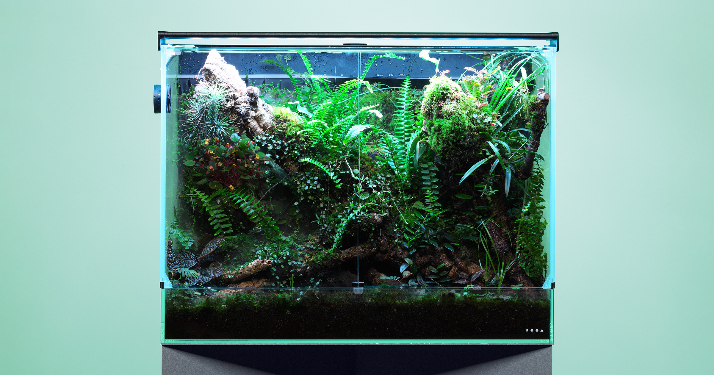 ADA アクリルフォト 水中の森 Forests Underwater 新品 CREATOR WORKS
