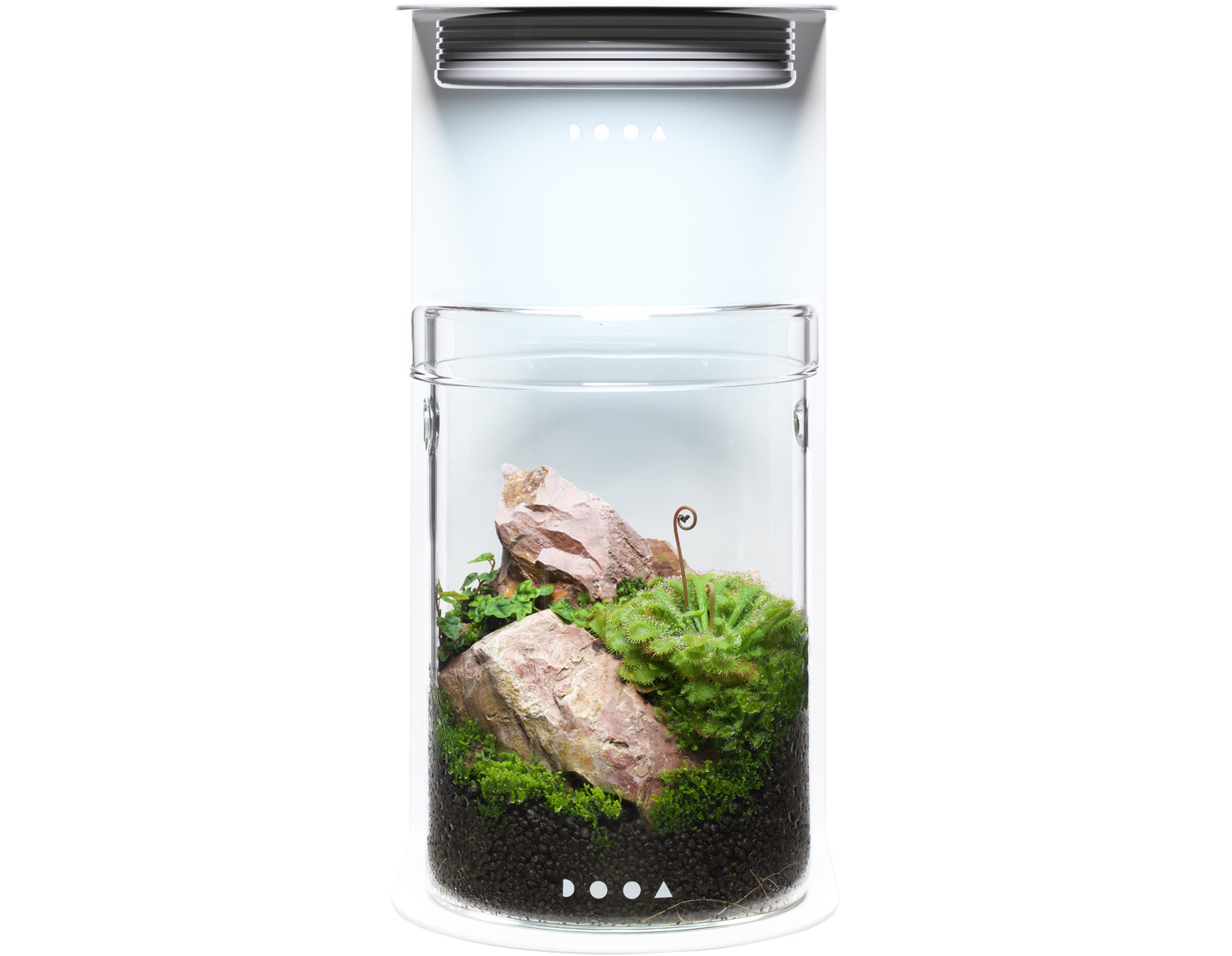 ADAスモールトーク #31 「ミニパルダリウムづくりにオススメ製品