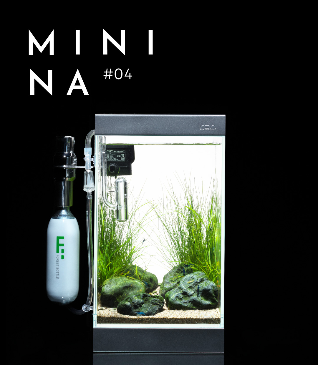 ADA アクアデザインアマノ 2015限定デザイン レイアウトメンテナンス