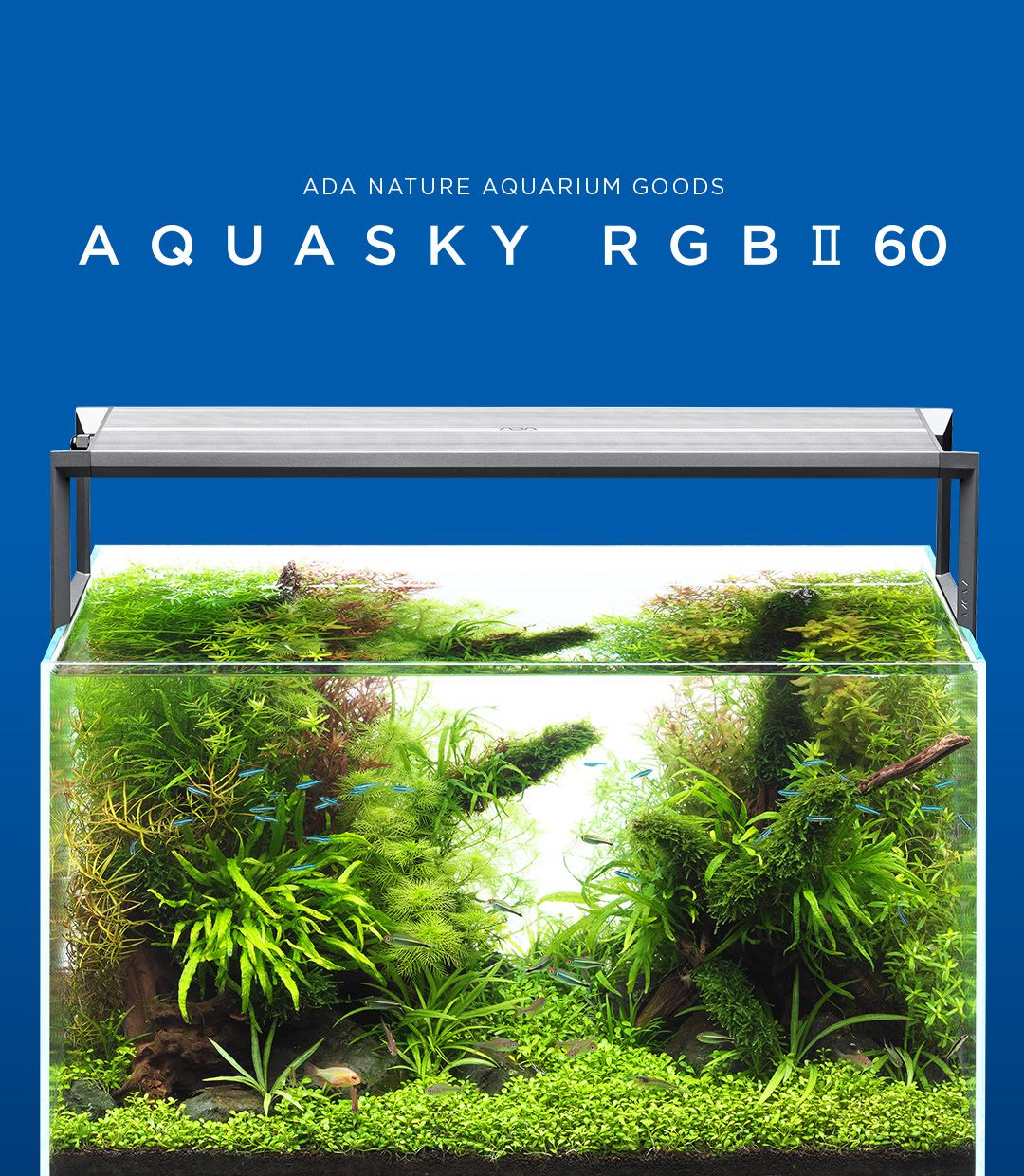 ADA LAYOUT MATERIAL 「石」 | AQUA DESIGN AMANO