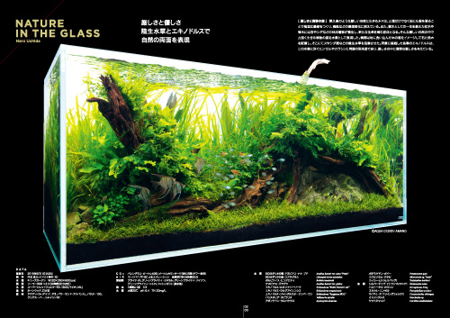 月刊アクアジャーナルVol.289 発売のお知らせ | ADA - NEWS RELEASE