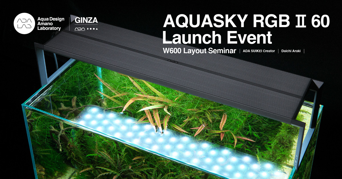 ADA アクアスカイ601‼️ サッシ】ADAアクアスカイ601 と60センチ水槽