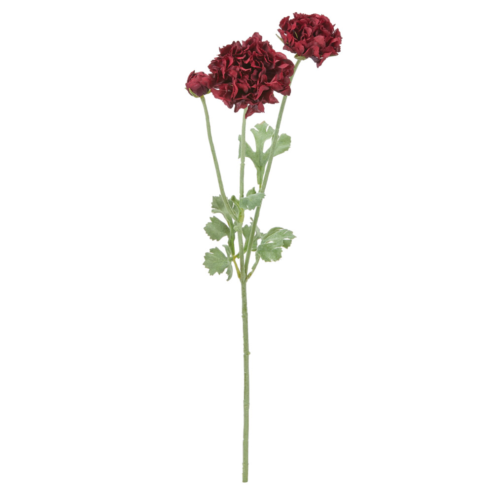 マリーゴールド×5つぼみ×4｜商品案内｜株式会社アスカ商会