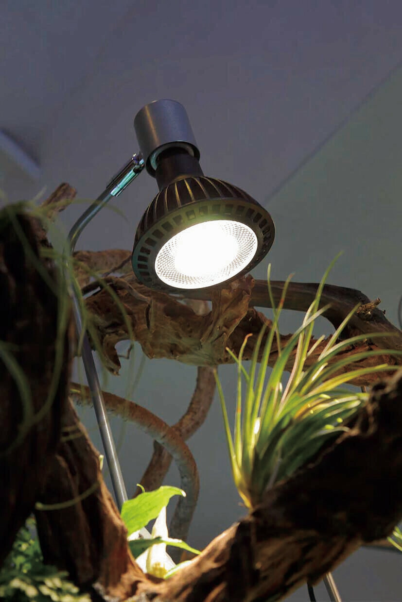 京セラのLED照明「CERAPHIC いきもの電球」登場 | 京セラ株式会社