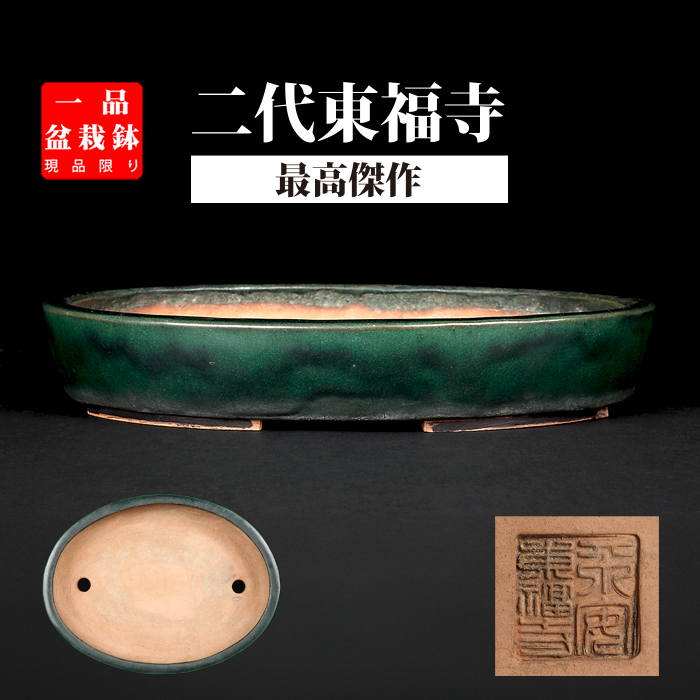 二代東福寺緑釉楕円鉢 | 盆栽、盆栽書籍、盆栽鉢の通販│近代出版