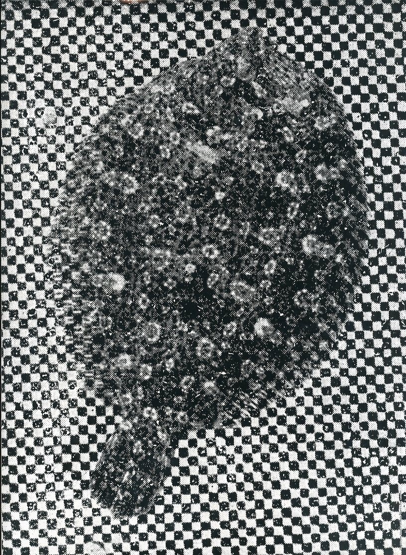 Six (sixth sense) Number 3 /1989 / アート・ディレクション：井上