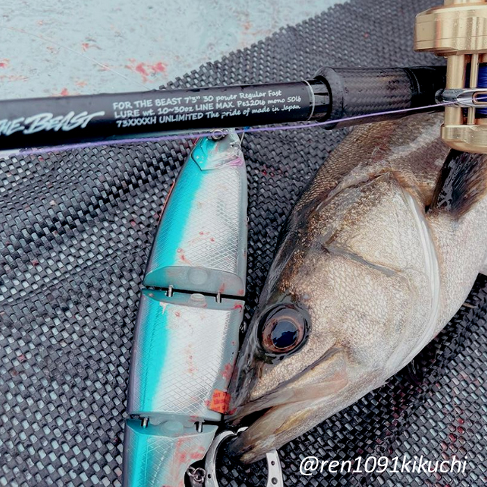 DRT クラッシュ ゴースト バックラッシュ別注カラー「N・F chrome