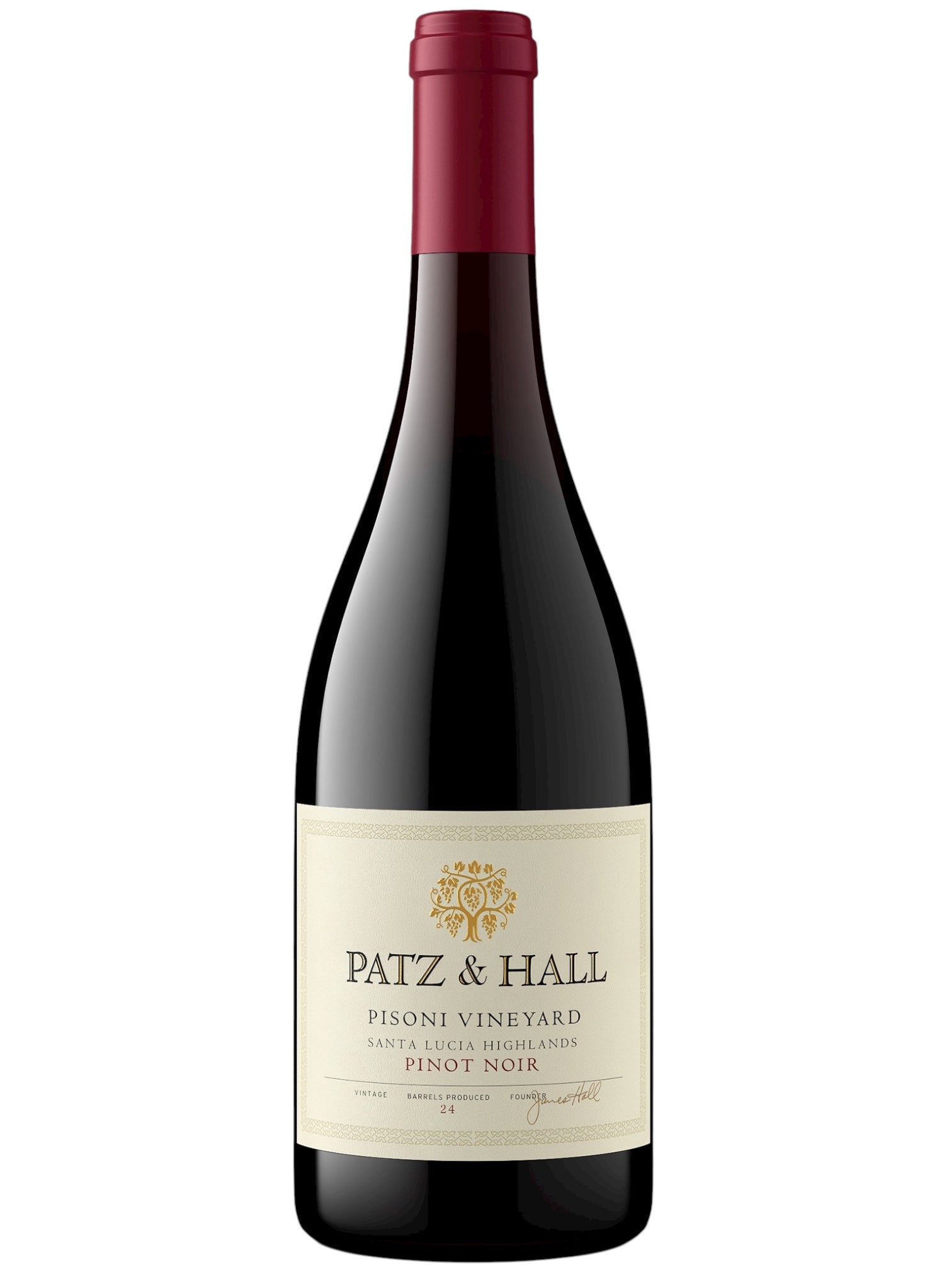 Buy Patz & Hall 2021 Pinot Noir Pisoni Vineyard Online