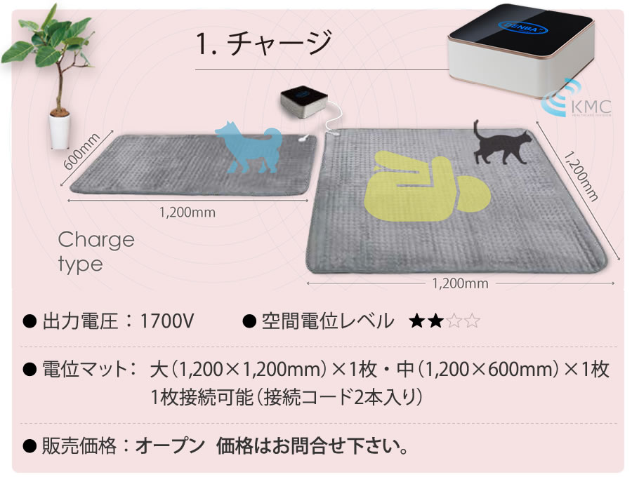 DENBA Health(デンバ ヘルス) denba マット|正規販売代理店㈱神戸