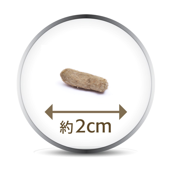 フィーラインナチュラル ラム＆キングサーモン・フィーストの正規品