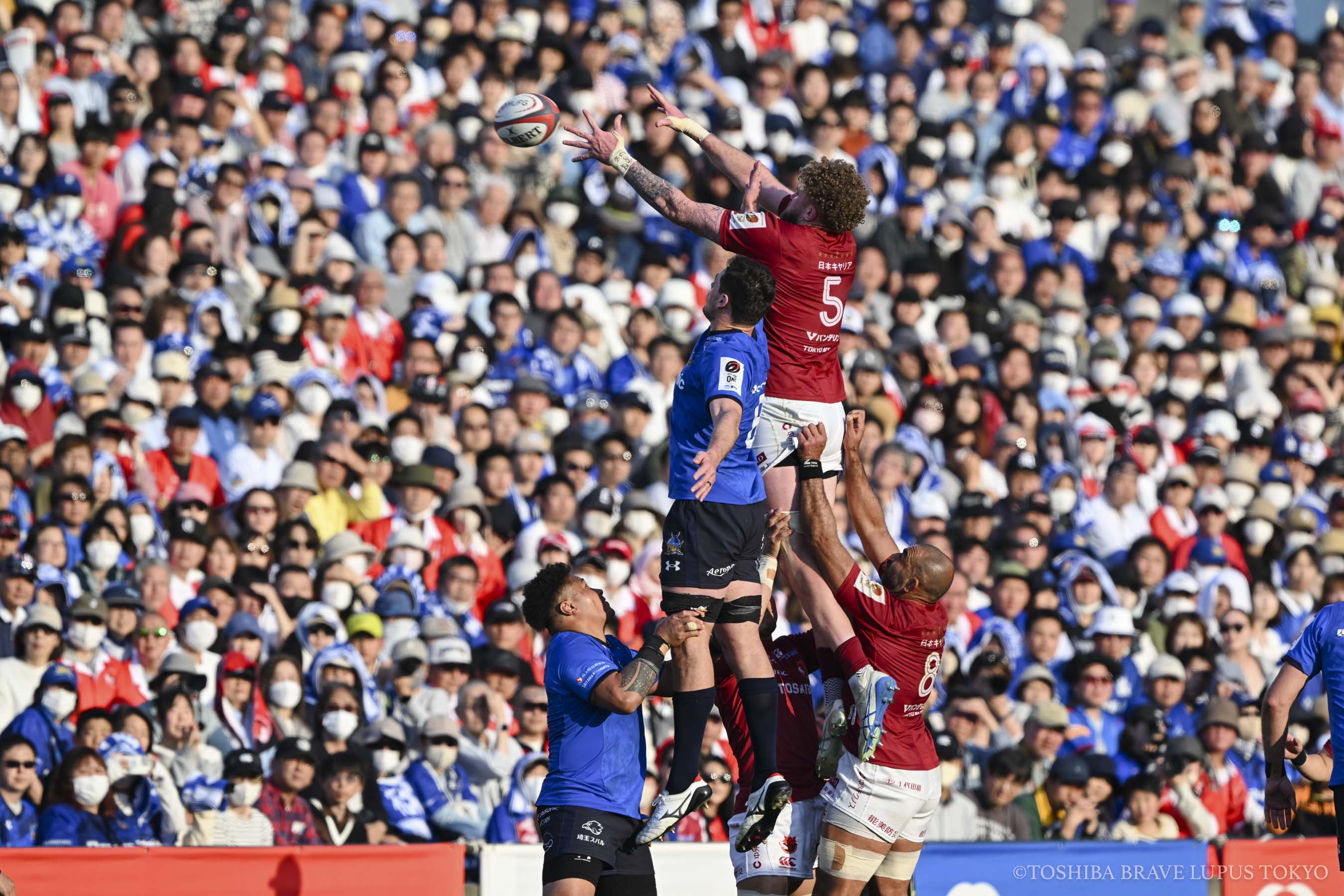 NTT JAPAN RUGBY LEAGUE ONE 2024-25 第12節 | 試合日程・結果 | 東芝