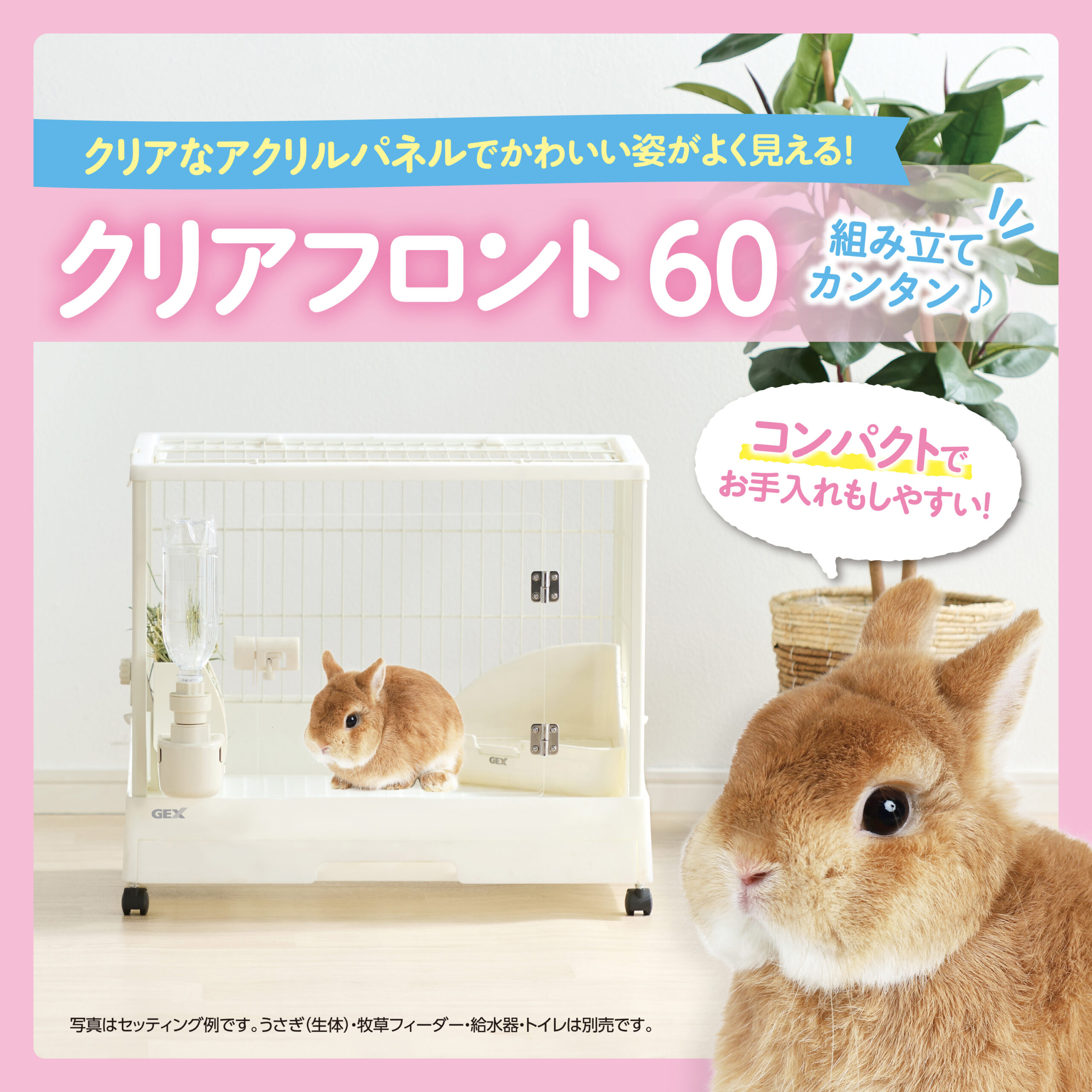 前面ワイヤーなし!?クリアに見えるうさぎケージが新登場！