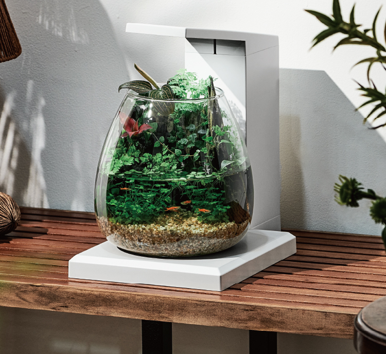 グラスアクア ペルコ ｜オールインワン水槽セット｜ジェックス