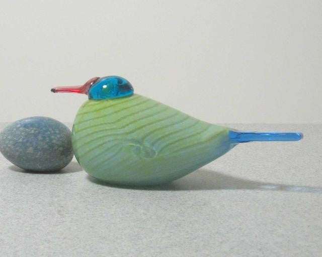 iittala Toikka Rainbow Bird - Toikka Bird Guide – GlassBirds.com