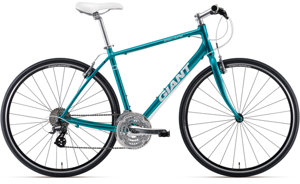 2019 GIANT Bicycles | ESCAPE R DISC (2020 NEW)