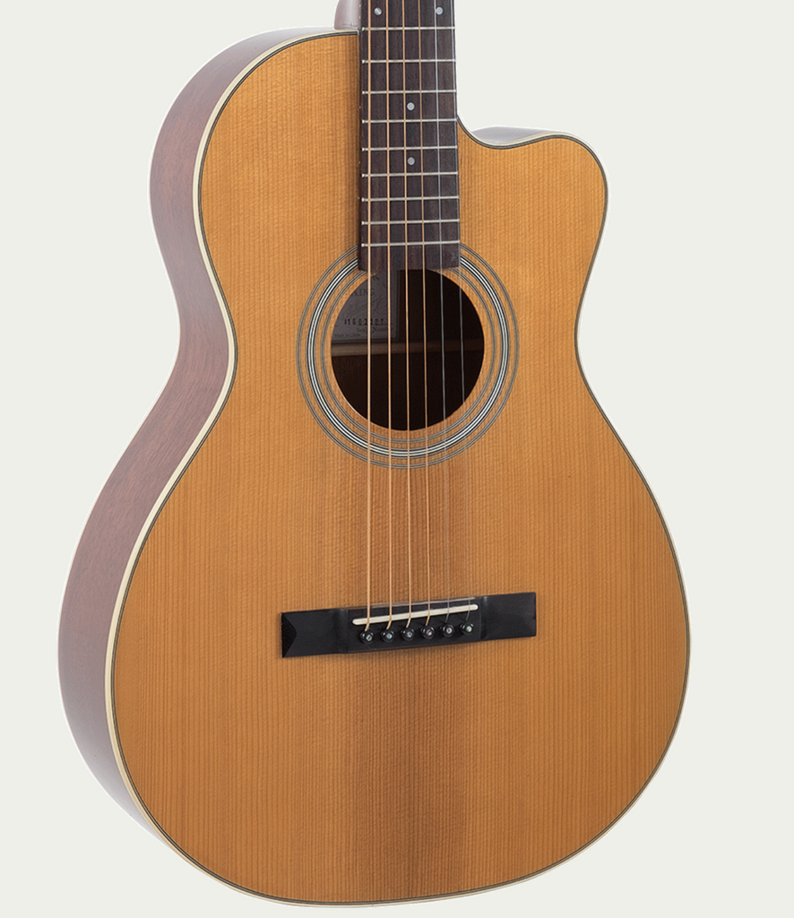 Recording King RP1-16C Guitar – Guitar Gallery