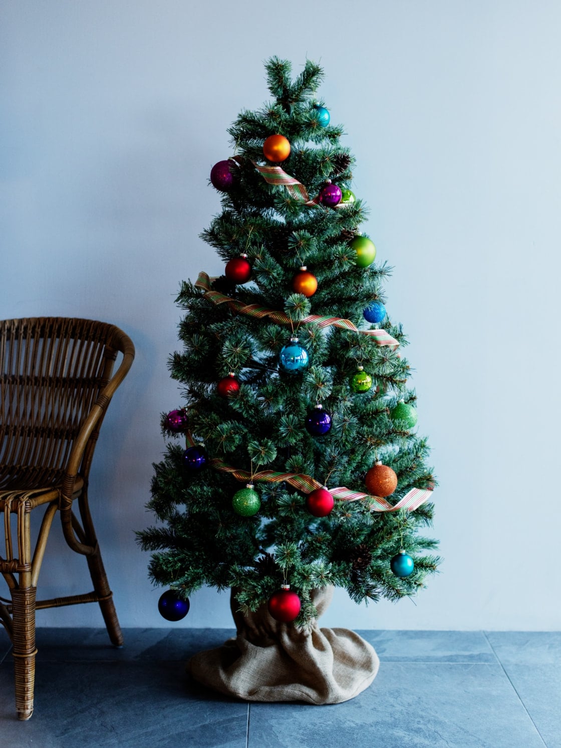 niko and  Christmas Collection 2021