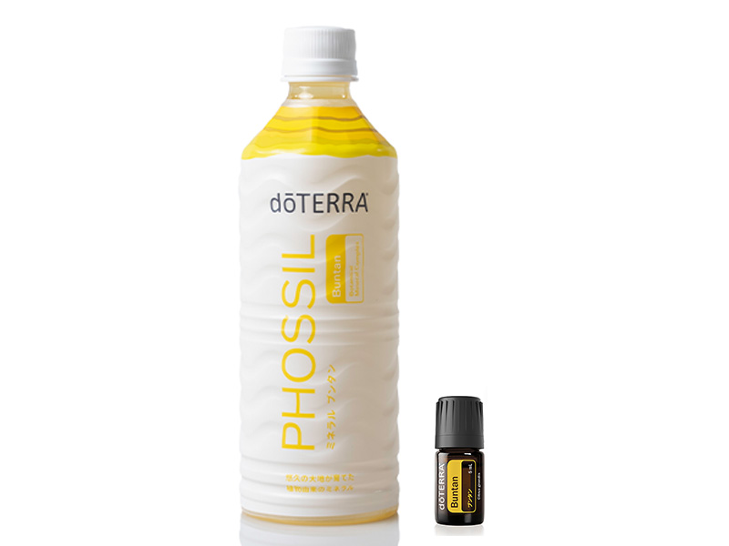 ジャパンヒーリングハンズTシャツ S - doTERRA TIMES