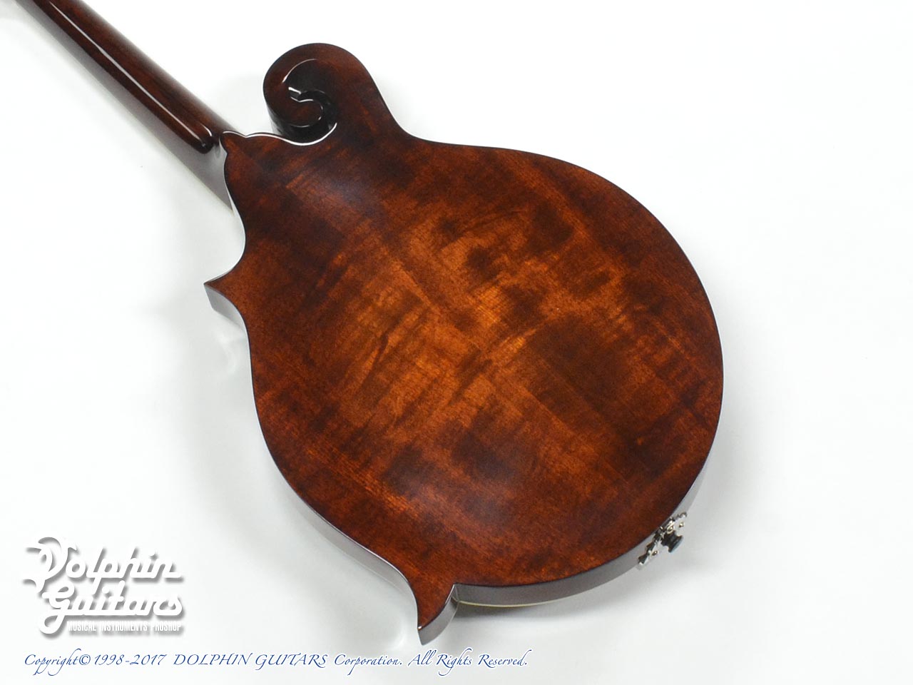 弦楽器 Eastman MD315/Antique Red Eastman ER-M/Antique Red|ドルフィンギターズ