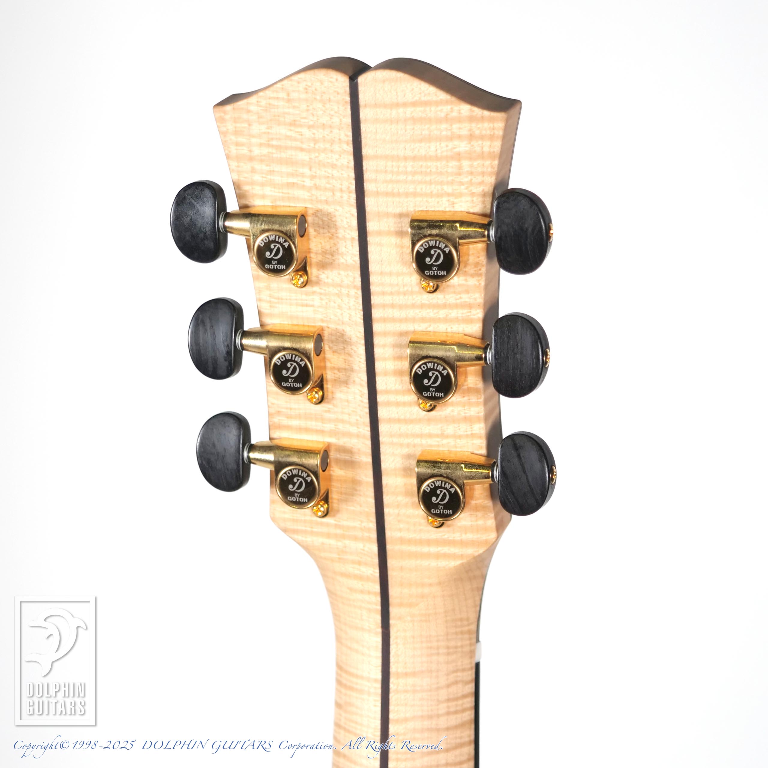 Dowina ACERO-GACE-DS|ドルフィンギターズ
