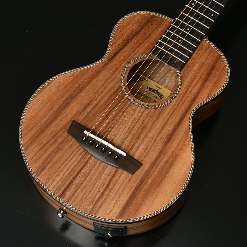 HT-BEETLE | Deviser ｜株式会社ディバイザー｜長野県松本市のギター