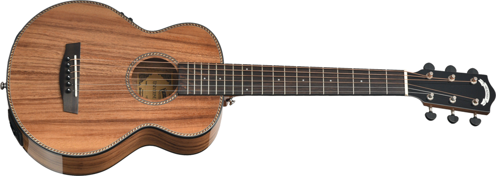 HT-BEETLE | Deviser ｜株式会社ディバイザー｜長野県松本市のギター