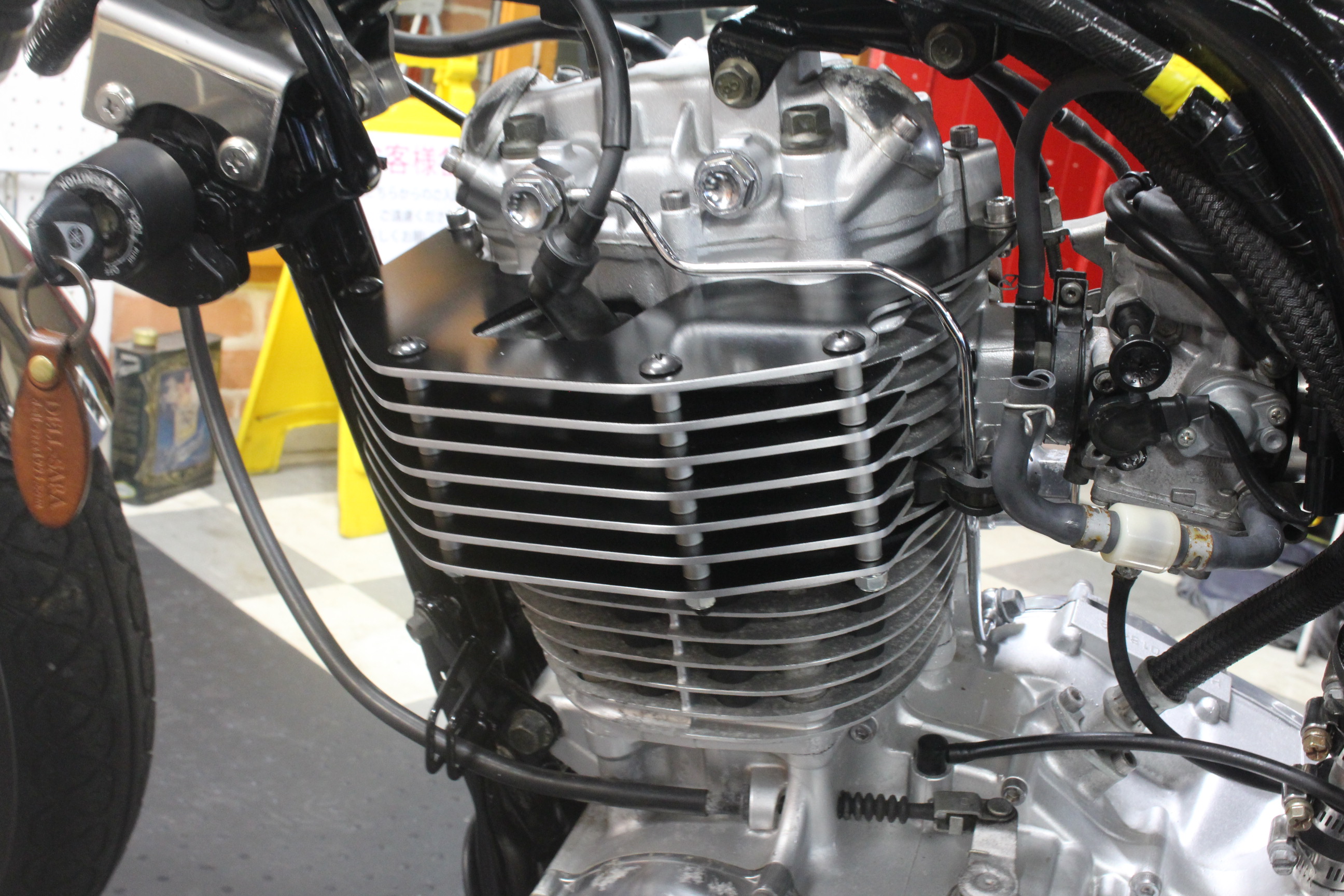 デルスラーラ福岡SR 人気ビックフィンとR1 | DELL-SARA