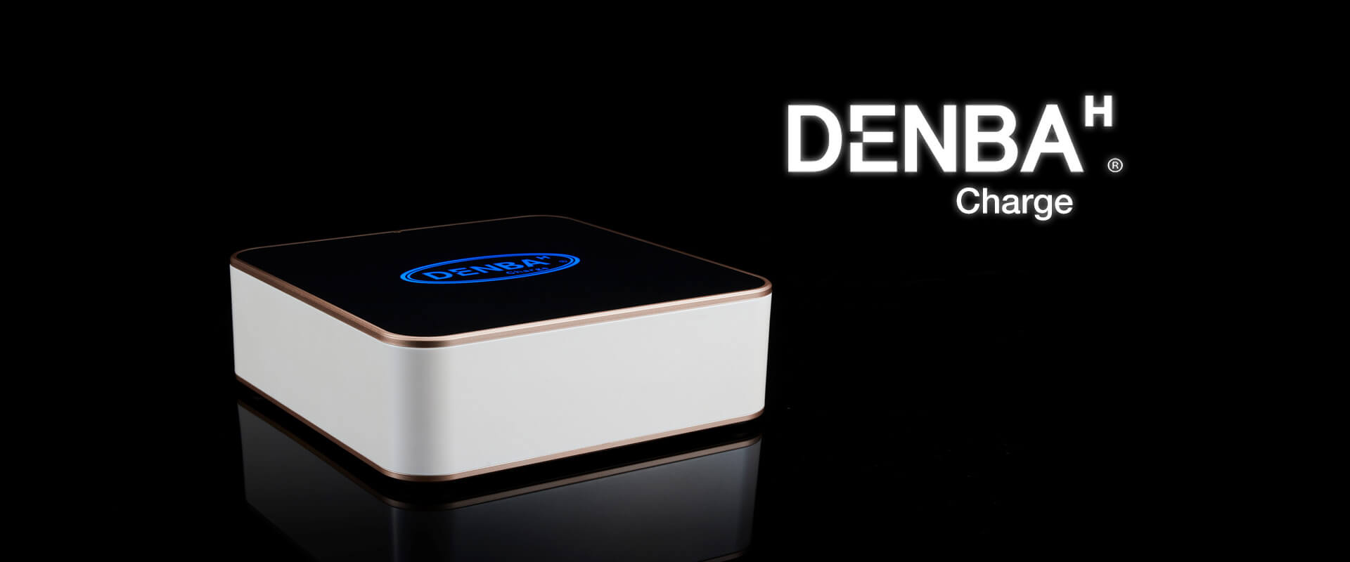 デンバヘルス スタンダード デンバヘルス スタンダード ZX DENBA