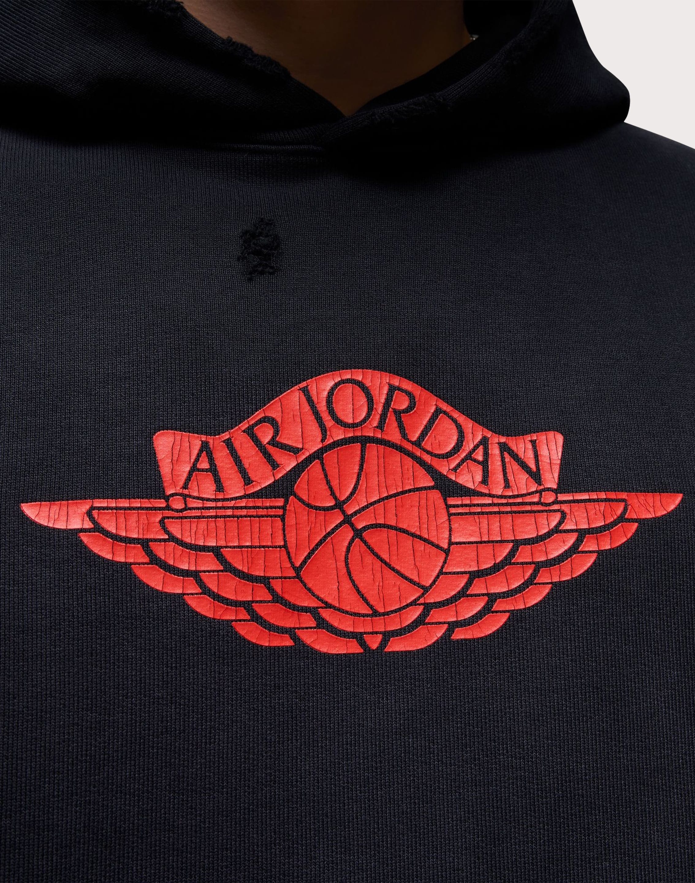 Jordan Jordan Rare Air Fleece Pullover Hoodie – DTLR