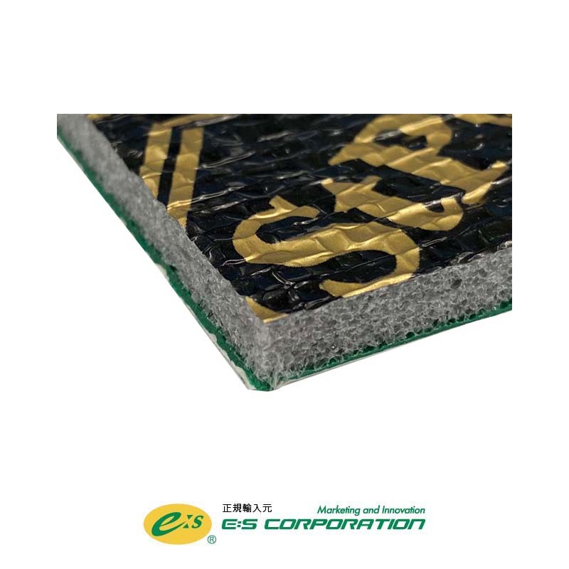 StP Accent 6 – E:S CORPORATION