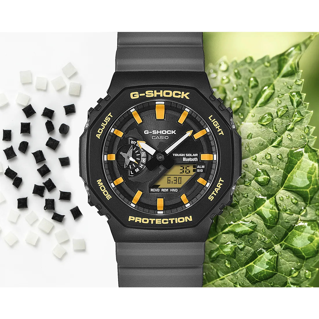 GA-B2100DF-1AJR チャールズ・ダーウィン財団 コラボレーションモデル